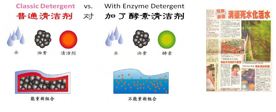 Classic Detergent Diagram 2